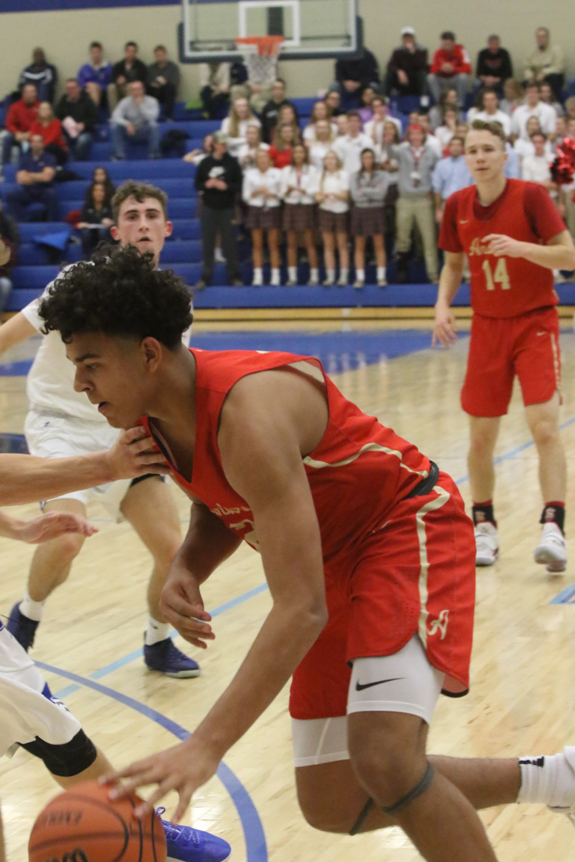 Gallery: Andrean at Lake Central boys basketball